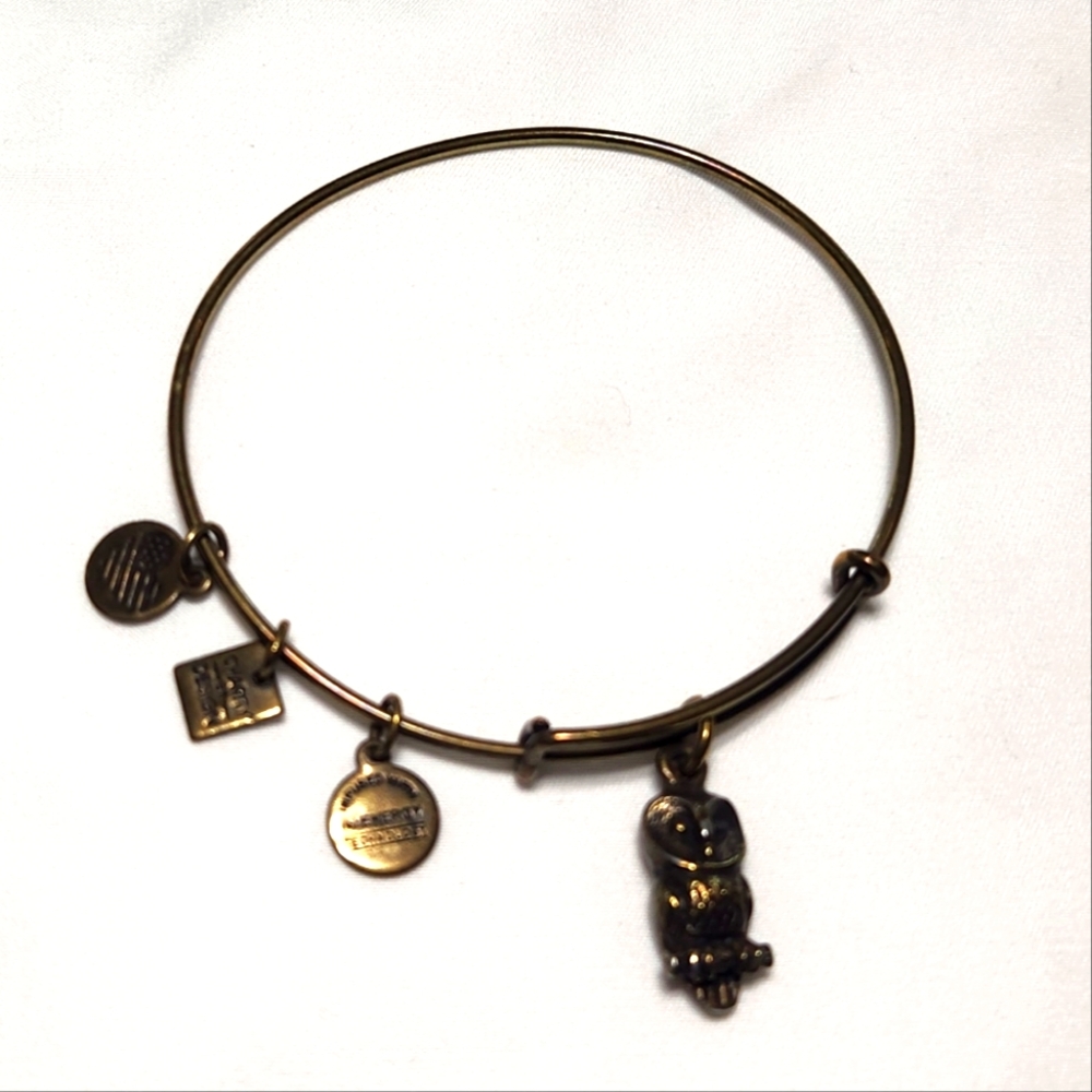 Alex and Ani gold Rafaellian Owl bangle bracelet